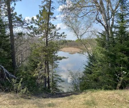 Island Point Campsite