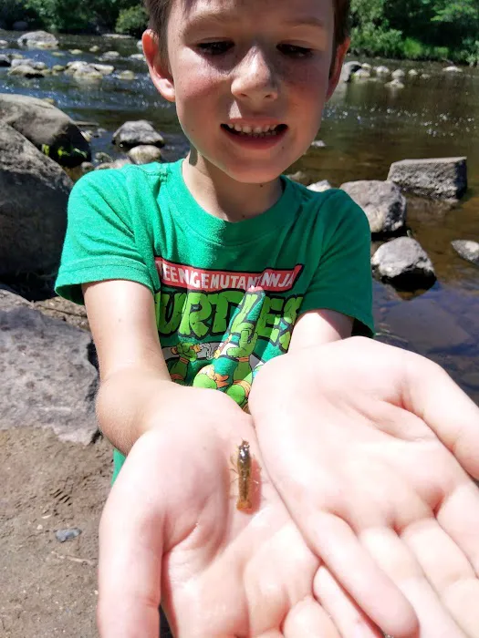 Forestry Department Picture 3