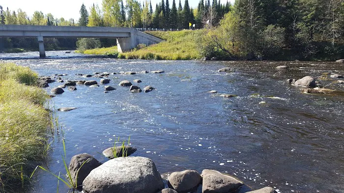 Forestry Department Picture 1