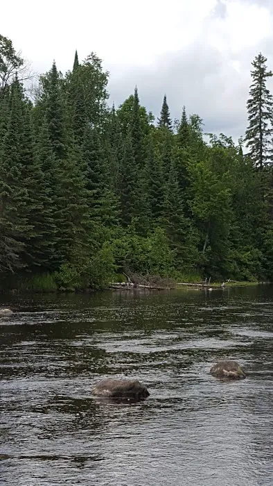 Forestry Department Picture 2