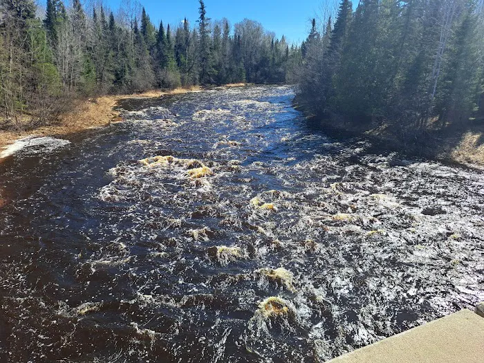 Forestry Department Picture 6