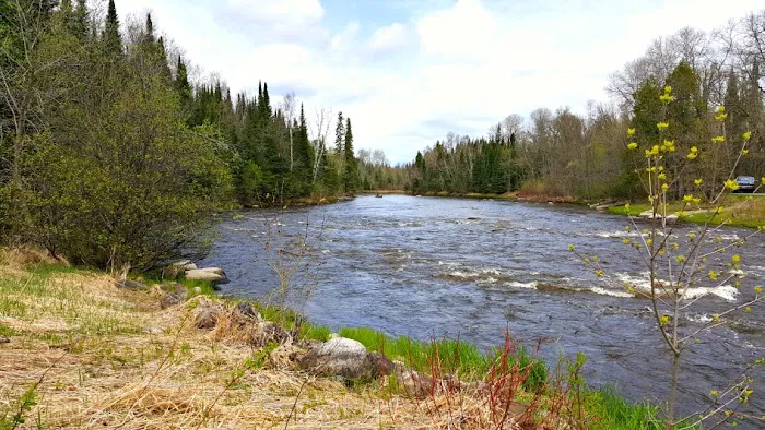 Forestry Department Picture 10