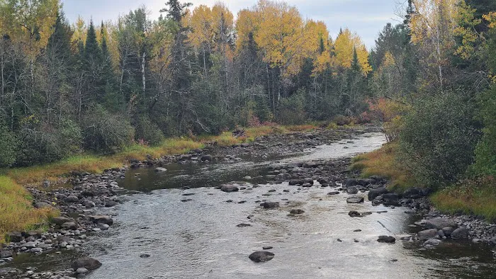 Forestry Department Picture 9