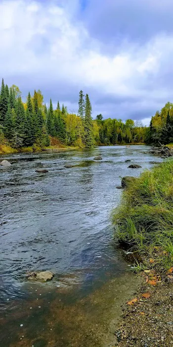 Forestry Department Picture 7