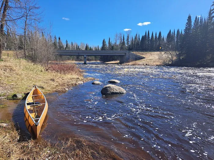 Forestry Department Picture 5