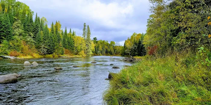 Forestry Department Picture 4