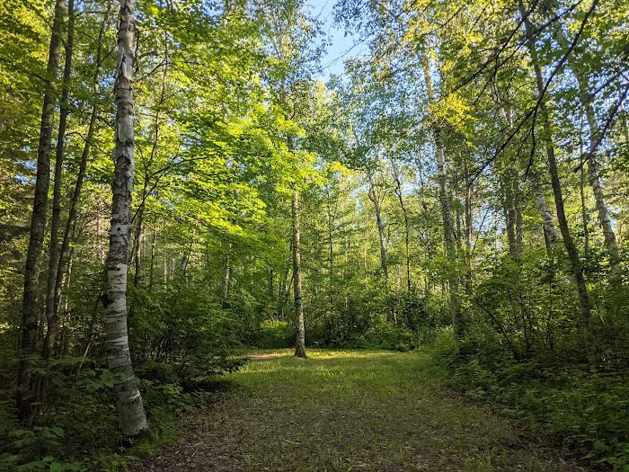 Noma Lake Campground Picture 2