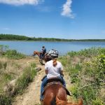 Wild Horse Campground