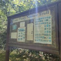 Cougar Pass Campground ico