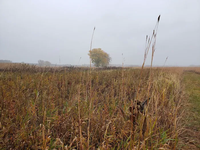Big Stone Lake State Park Campground Picture 1