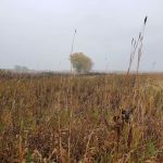 Big Stone Lake State Park Campground