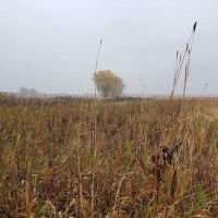 Big Stone Lake State Park Campground ico