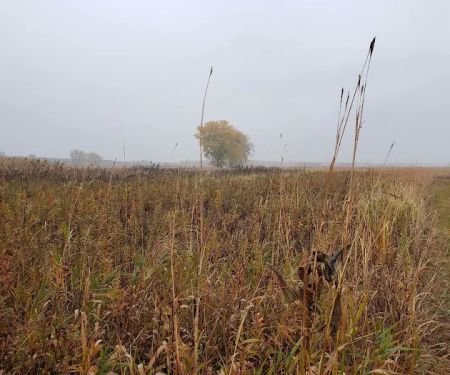Big Stone Lake State Park Campground
