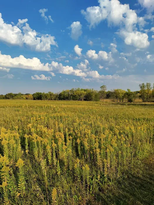 Big Stone Lake State Park Campground Picture 2