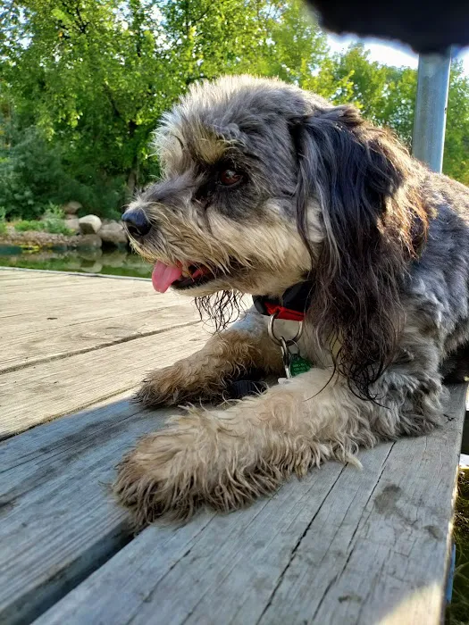 Big Stone Lake State Park Campground Picture 8