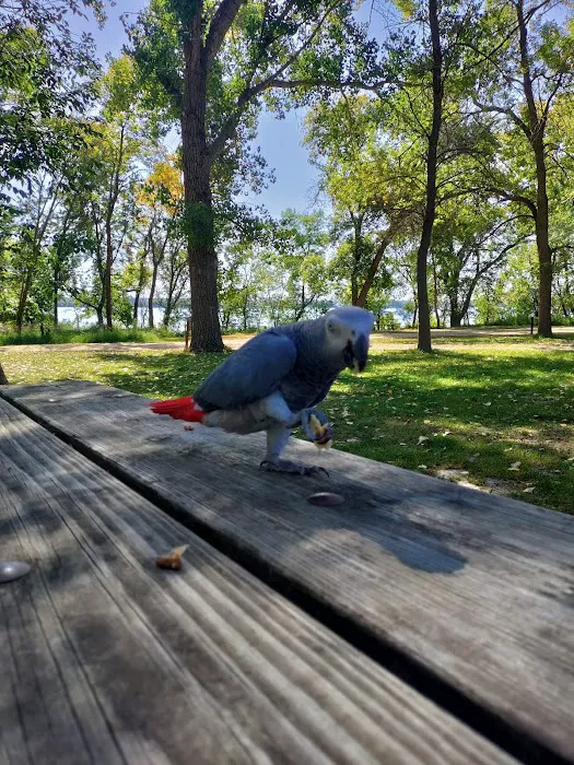Big Stone Lake State Park Campground Picture 9