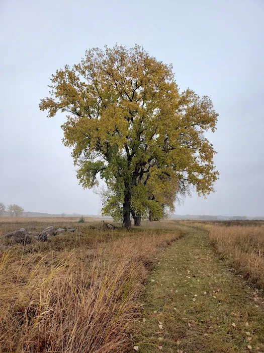 Big Stone Lake State Park Campground Picture 7