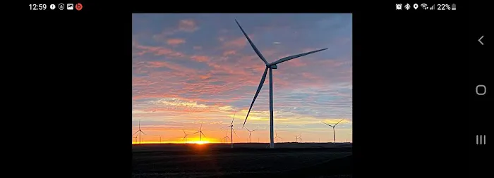 Camp David Picture 4