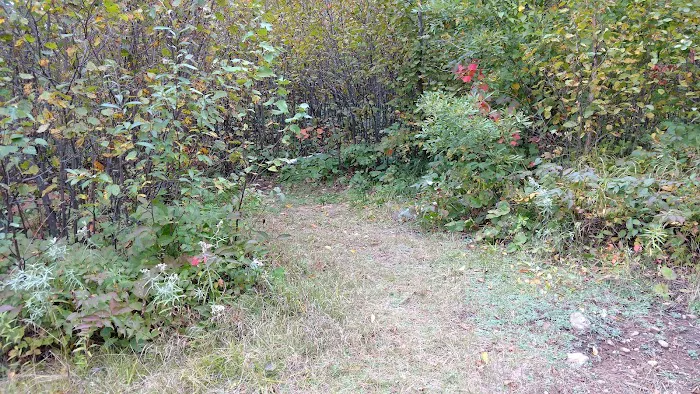 Sugarloaf Pond Camp Picture 7