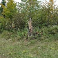 Sugarloaf Pond Camp ico