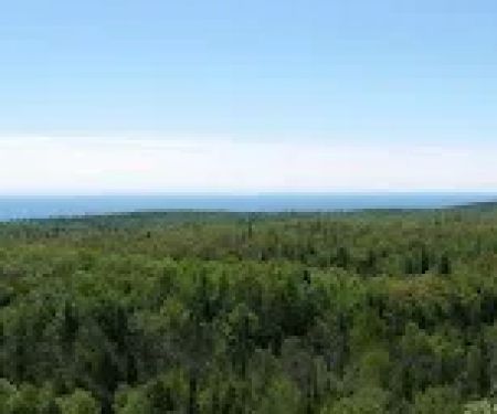 Fredenberg Creek Camp