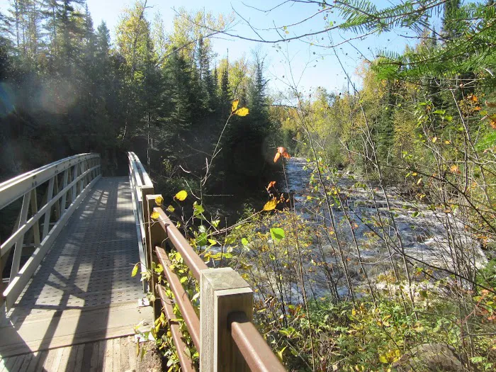 South Cross River Camp Picture 1