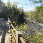 South Cross River Camp