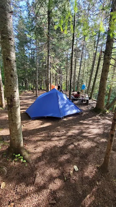South Cross River Camp Picture 6