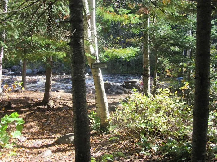 South Cross River Camp Picture 8