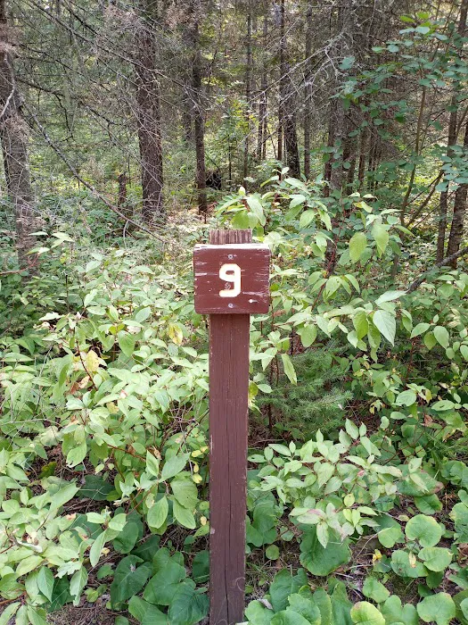 Temperance River Campground Picture 9