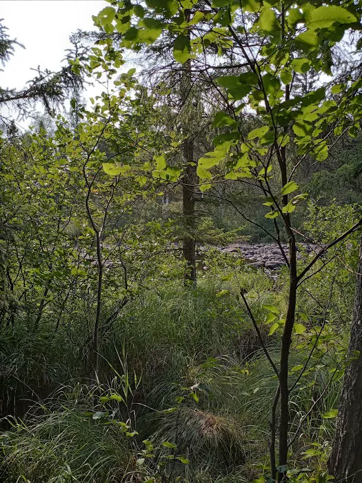 Temperance River Campground Picture 8