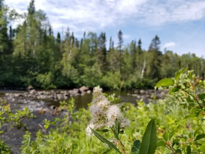 Temperance River Campground Picture 6