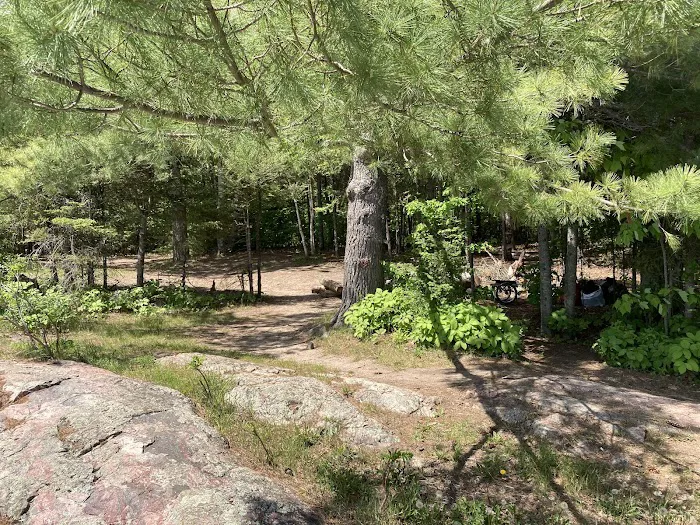 BWCA Campsite #1588 Picture 4