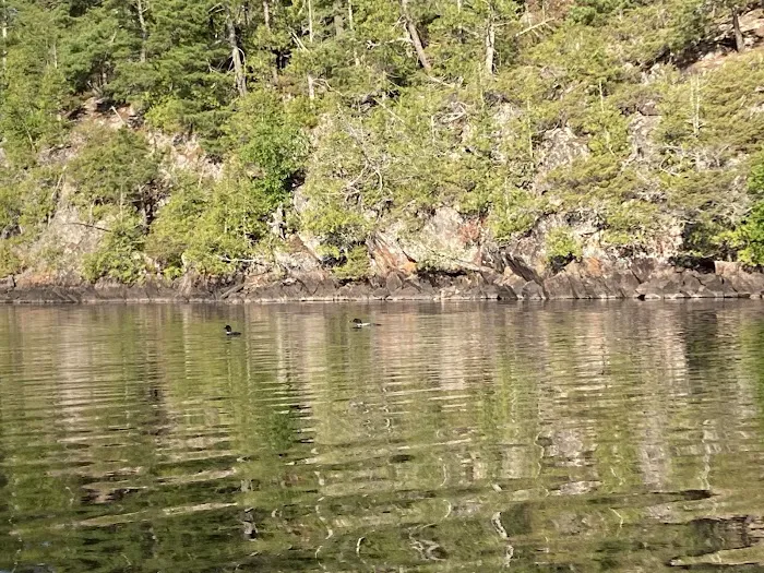 BWCA Campsite #1588 Picture 7
