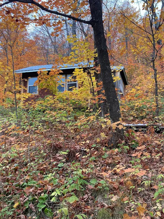 Boreal Backcountry Cabins Picture 3