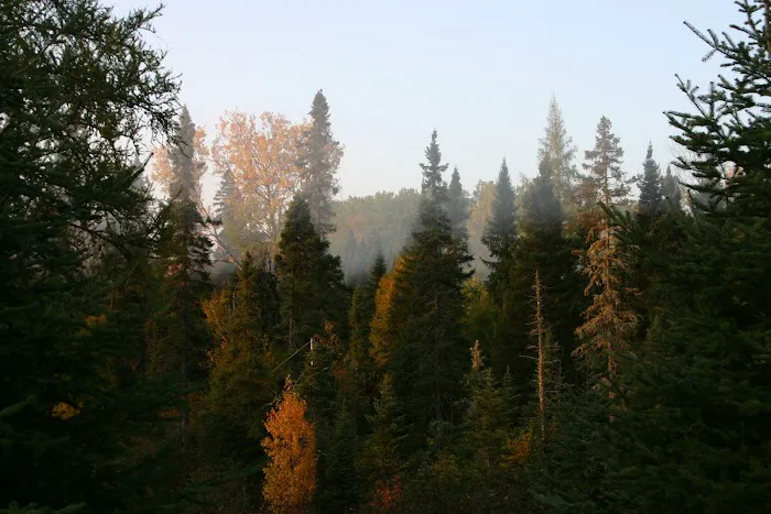 Poplar River Rustic Campground Picture 10