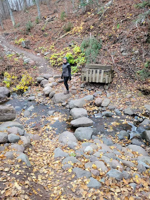 Springdale Creek Camp Picture 3