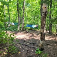 Springdale Creek Camp ico