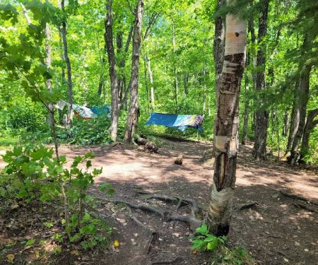 Springdale Creek Camp