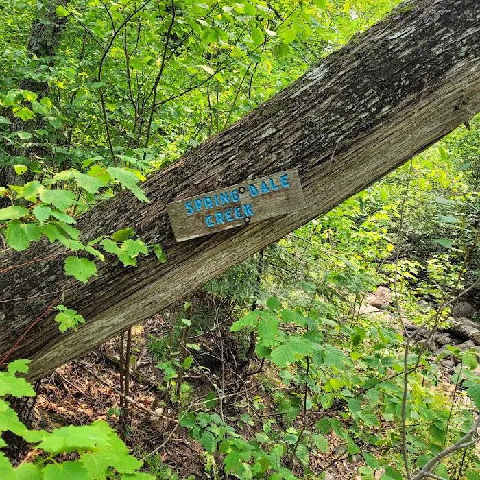 Springdale Creek Camp Picture 7
