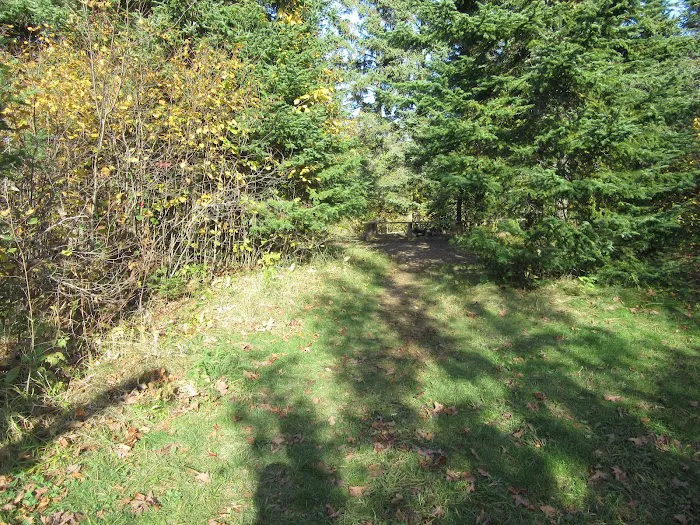 West Leveaux Pond Camp Picture 7