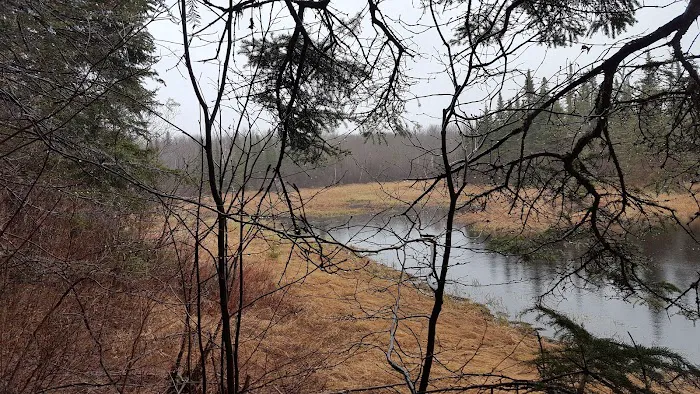 West Leveaux Pond Camp Picture 5