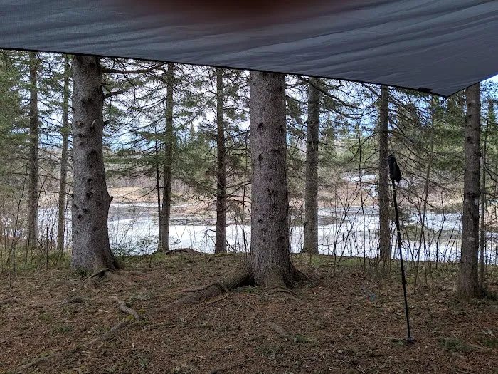 West Leveaux Pond Camp Picture 6
