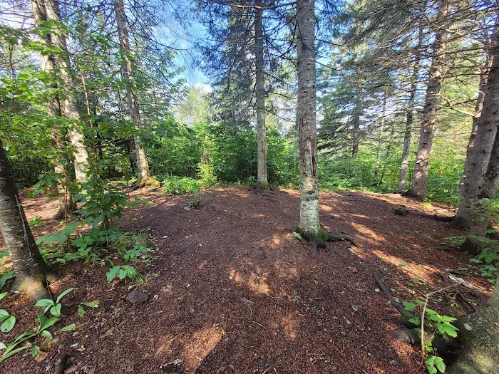 West Leveaux Pond Camp Picture 4