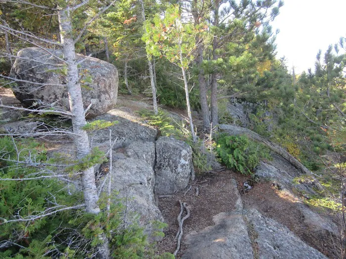 Onion River Camp Picture 4