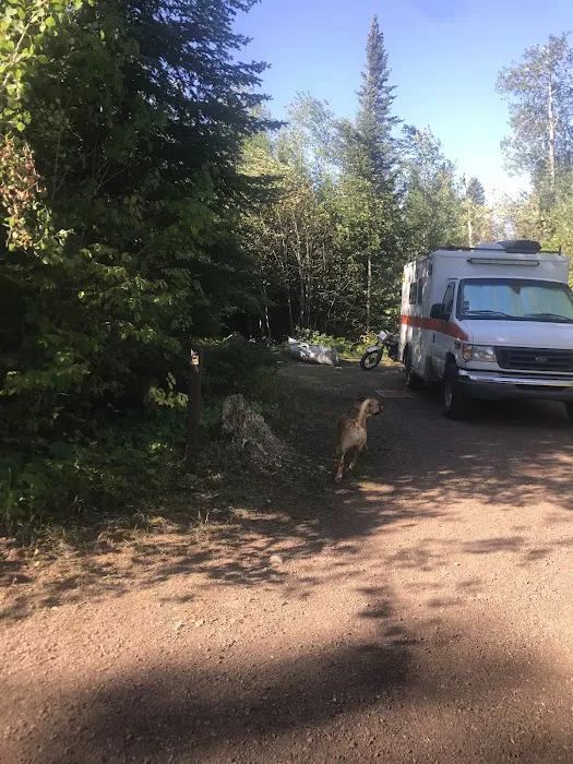 White Pine Lake Rustic Campground Picture 8