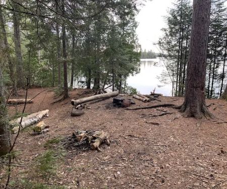 BWCA Campsite #844