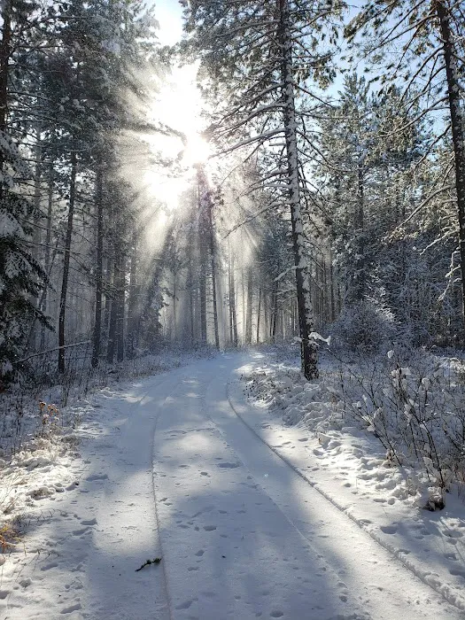 Koochiching State Forest Picture 2