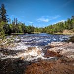 Koochiching State Forest