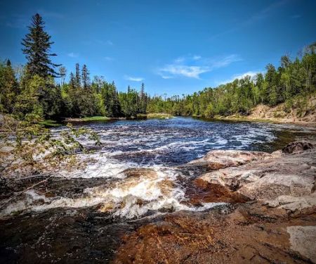 Koochiching State Forest